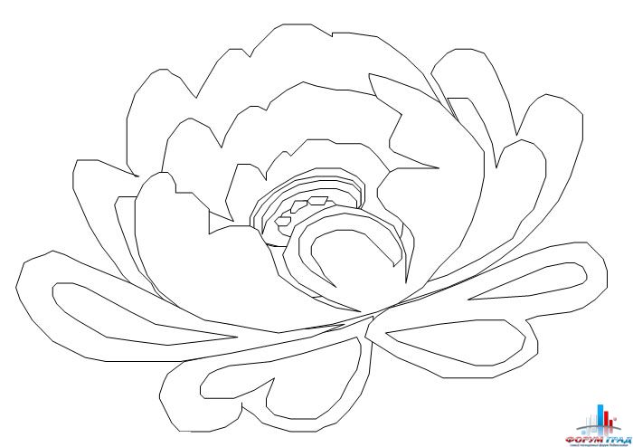 Детские раскраски цветы