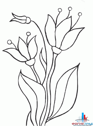 Раскраски цветов
