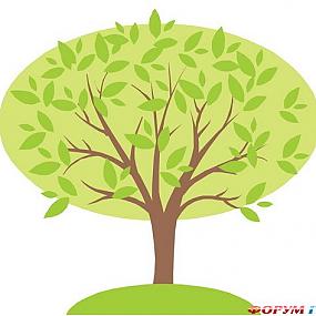 family-tree-ideas-11