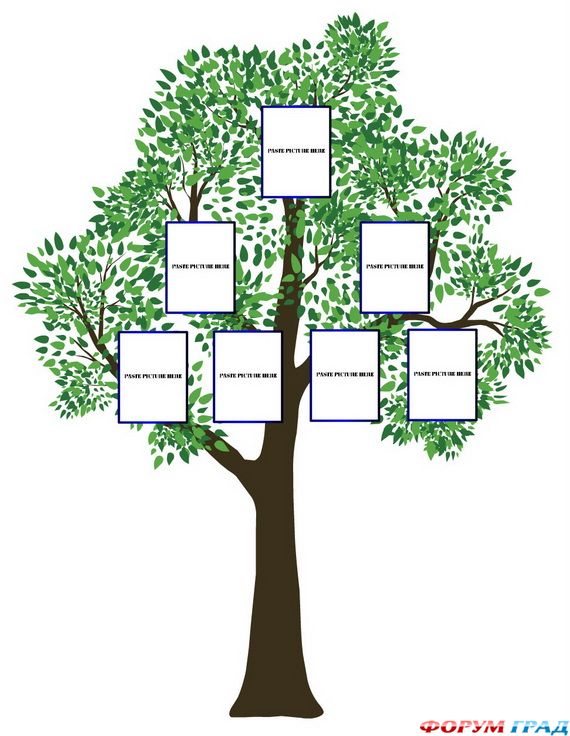 family-tree-ideas-13