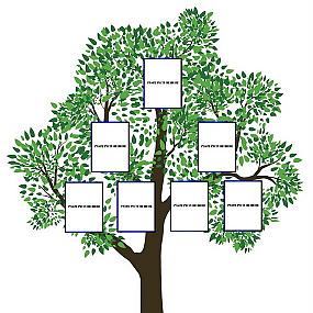 family-tree-ideas-13