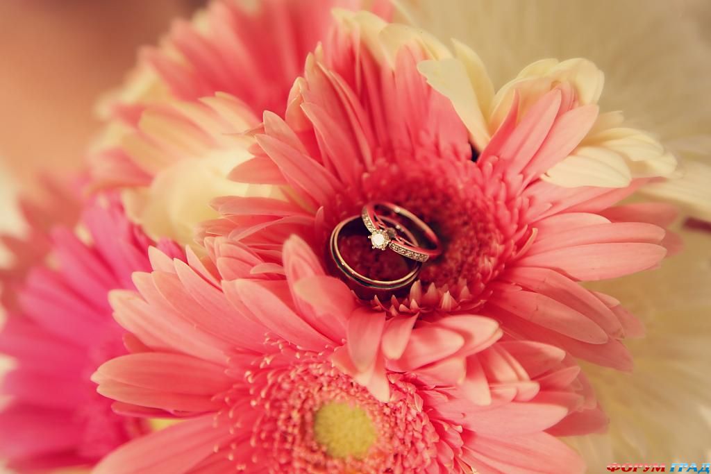 ring-and-flowers-101