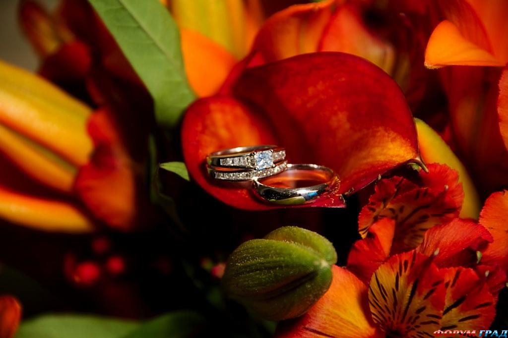 ring-and-flowers-106