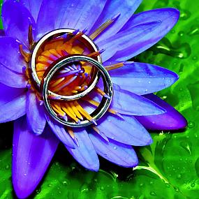ring-and-flowers-119