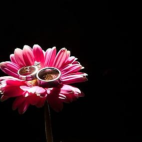 ring-and-flowers-64