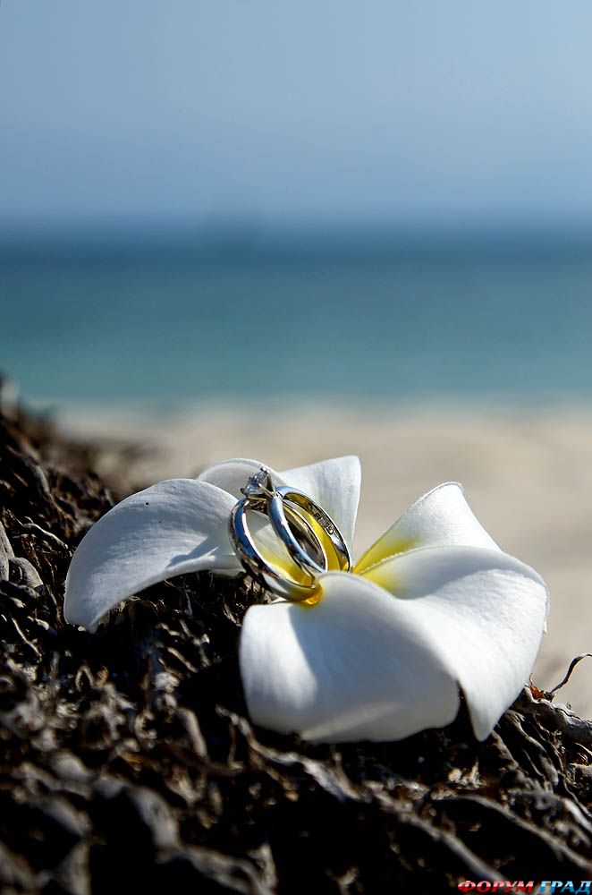 ring-and-flowers-68