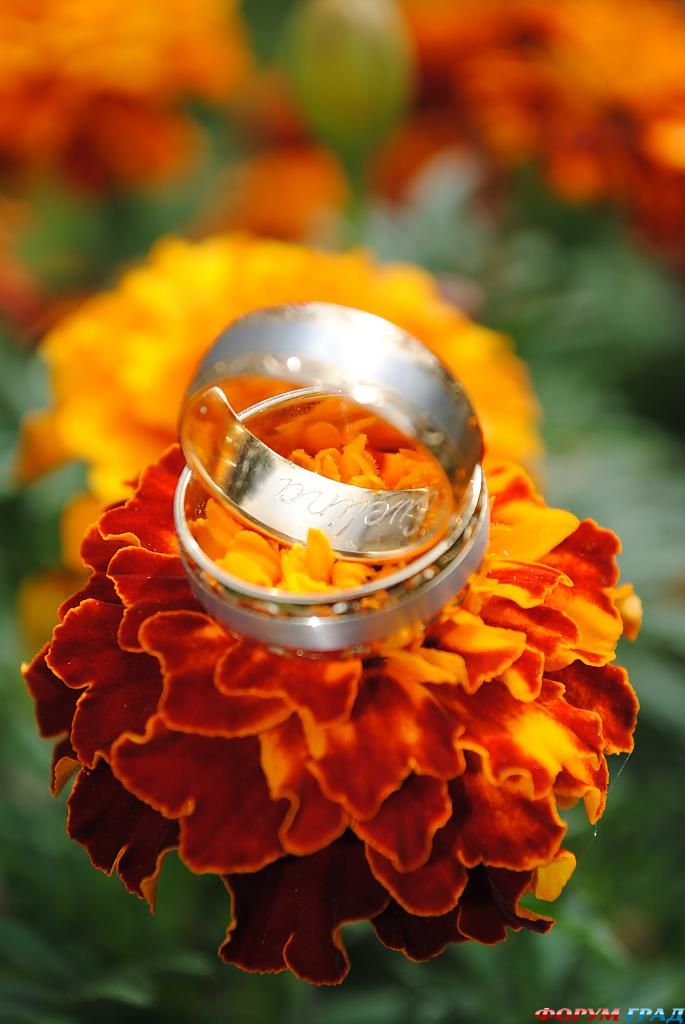 ring-and-flowers-70