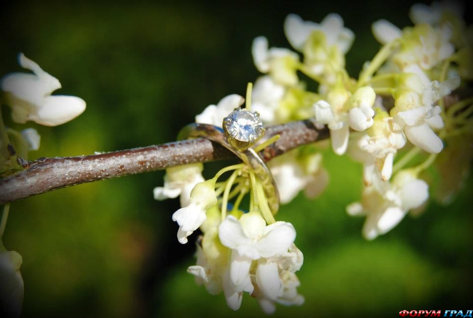 ring-and-flowers-72
