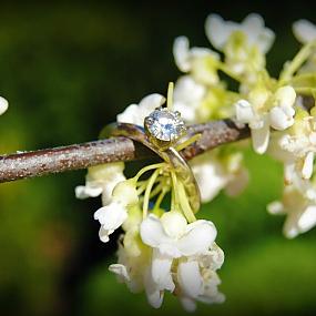ring-and-flowers-72