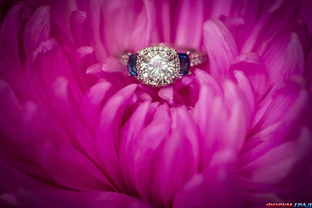 ring-and-flowers-73