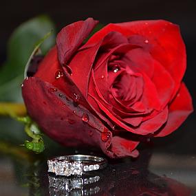 ring-and-flowers-76