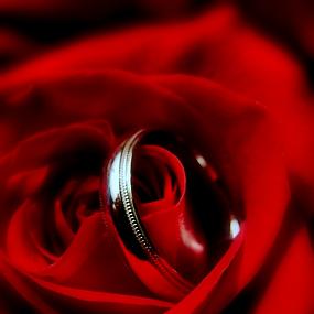 ring-and-flowers-89