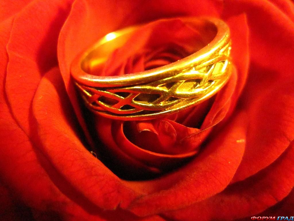 ring-and-flowers-90