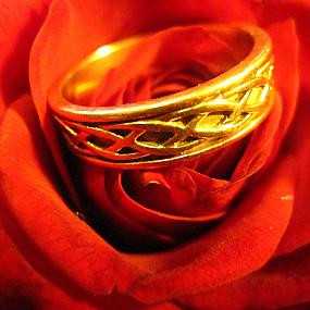 ring-and-flowers-90