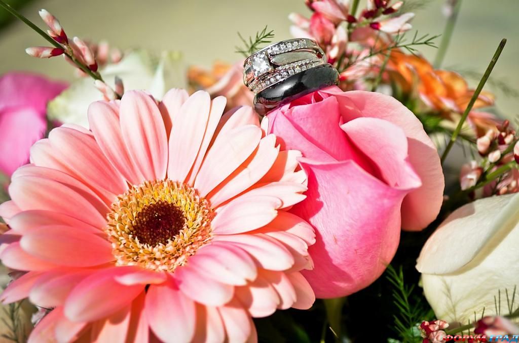 ring-and-flowers-96