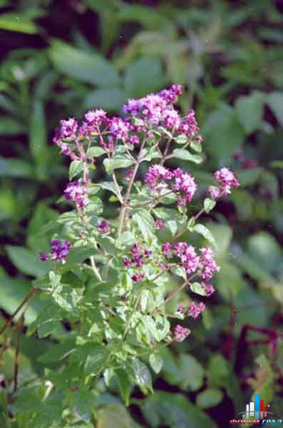 5fec2d25e7bdd59610ba80855abf7be0