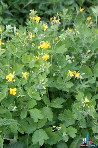 671a02542148990b9ddd8f140a1de504