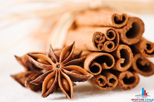 677fdc810f76ccdc8b54a29fa28865c5