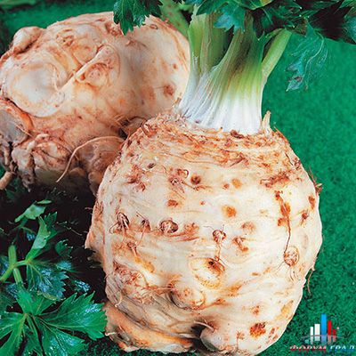 8170b966e5ac70398b0e83e624438673