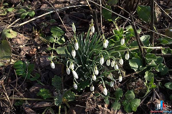 8795d6eea4f4778dc35fa45581138d61