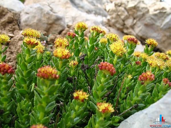 87af1607f61b62b05d3df7991b1610da