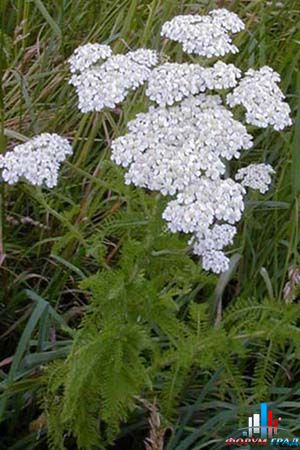 8fb44e47ffa4a21b4319eb710bfcc932