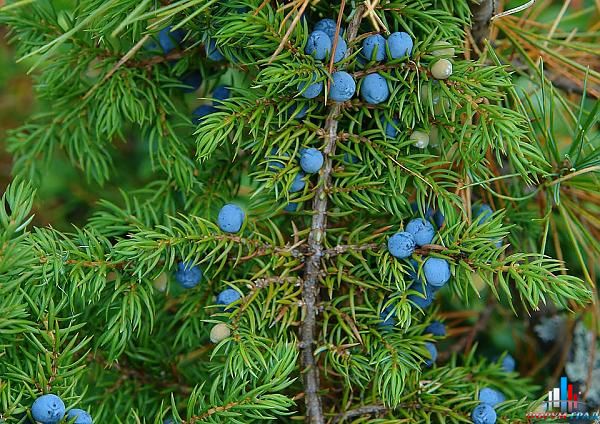 eb72a1a187515f90e006ccea61ee002b