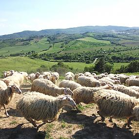 national-geographic-photo-journalist-catherine-karnrow-01