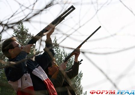 Strelba po tarelochkam