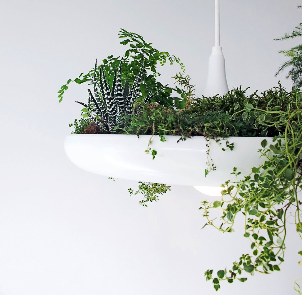 lamp-or-pot-for-plants-01