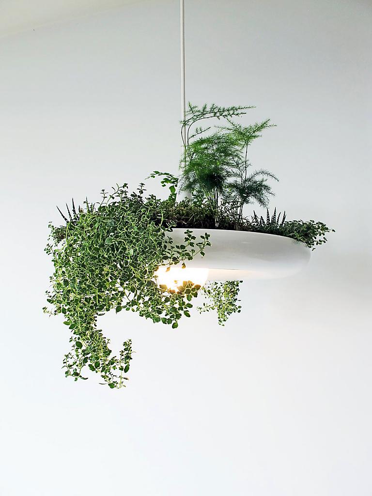 lamp-or-pot-for-plants-02