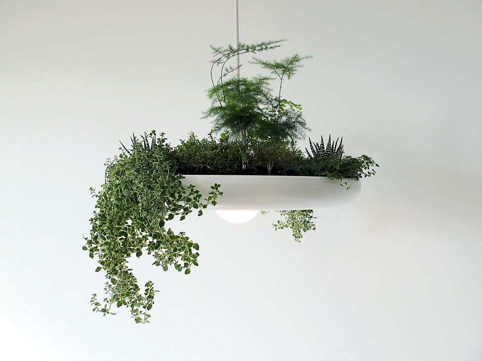 lamp-or-pot-for-plants-04