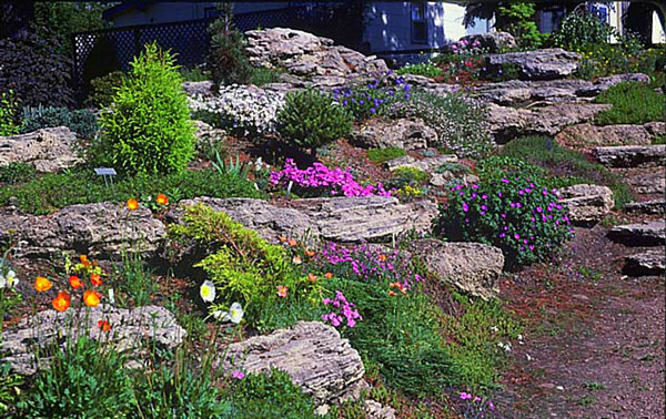 a-delightful-garden-of-stones-10