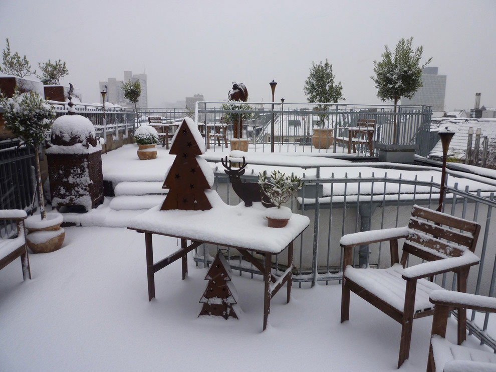 a-penthouse-in-cologne-3