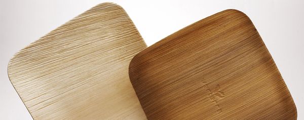 biodegradable-plates-2