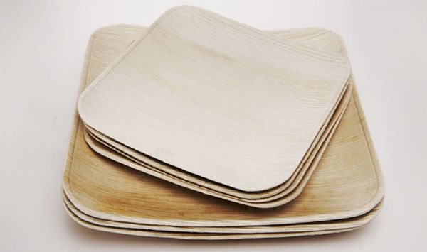 biodegradable-plates-3