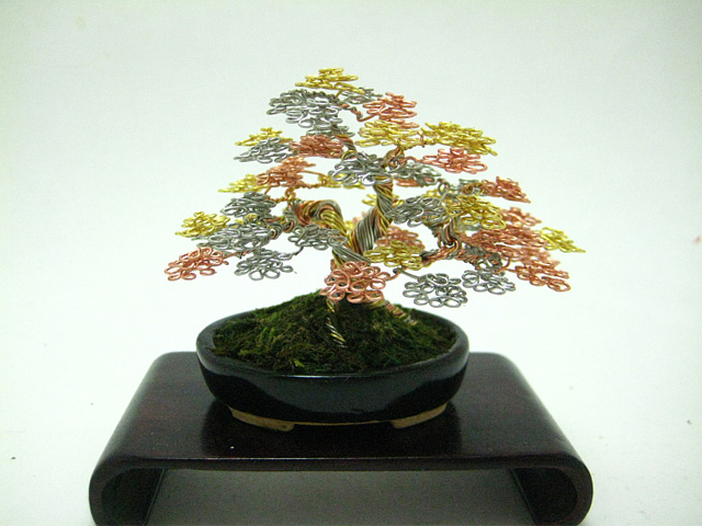 bonsai-4