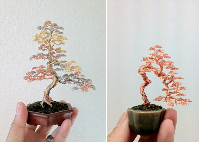 bonsai-5
