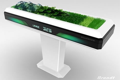 brandt-aion-green-kitchen