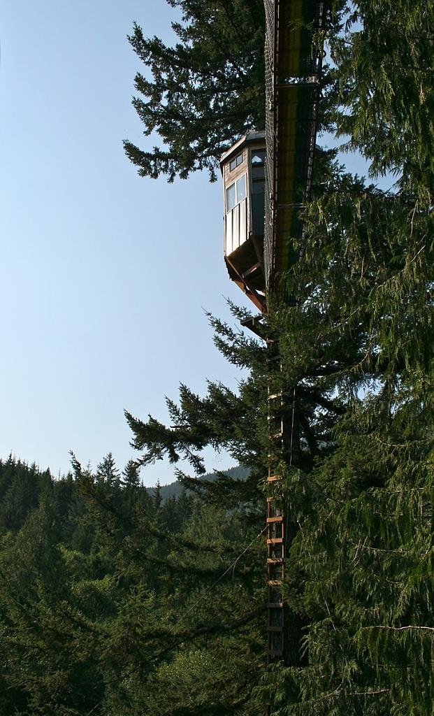 cedar-creek-treehouse