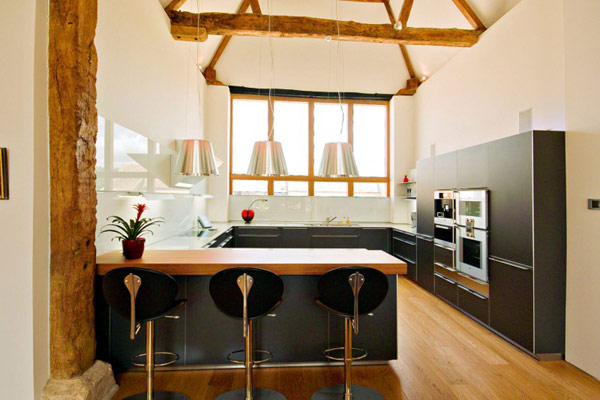 creative-barn-conversion-idea-06