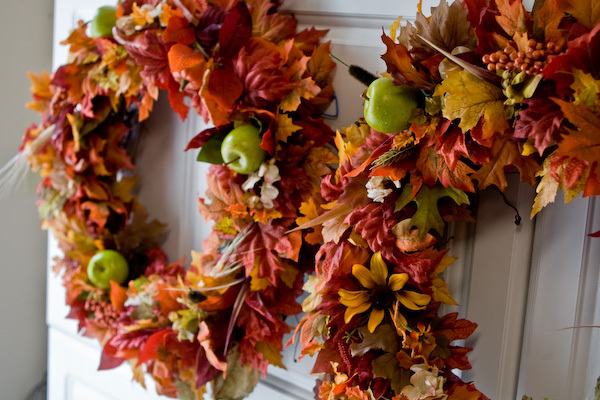 defoliation-in-the-interior-5