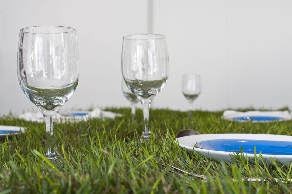 dining-table-with-grass-2