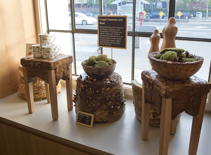 exploratorium-store-pier-15-by-shopworks-design-9