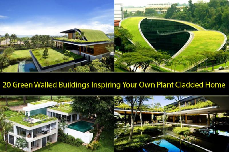 green-walled-buildings-1