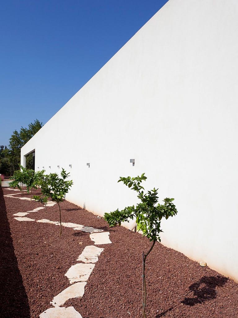 house-in-talmei-elazar-9