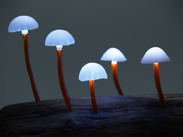 lamp-mushroom-1