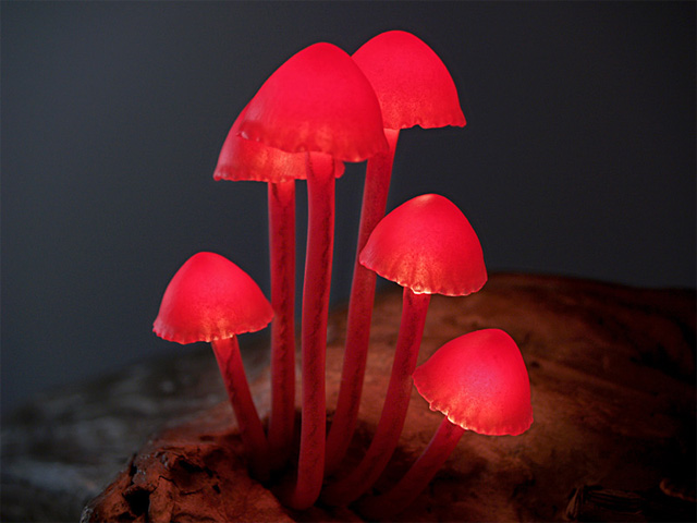 lamp-mushroom-3