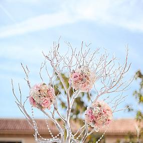 manzanita-branches-for-weddings-2