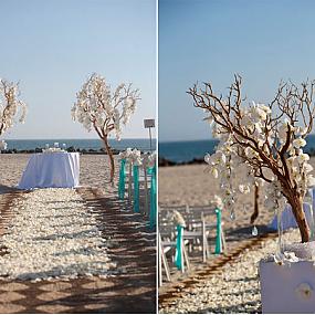 manzanita-branches-for-weddings-3